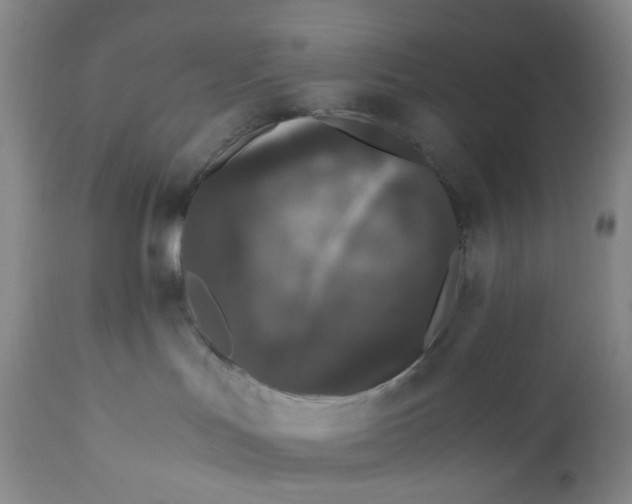 X0000110770047200907061129