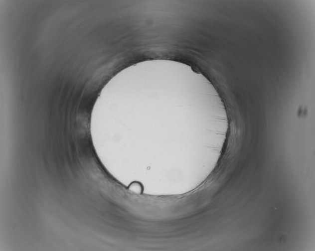 X0000110770048200907061129