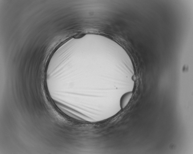 X0000110770049200907061128