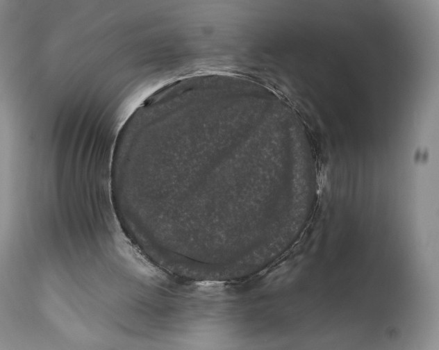 X0000110770052200907061128