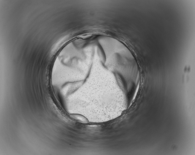 X0000110770053200907061128