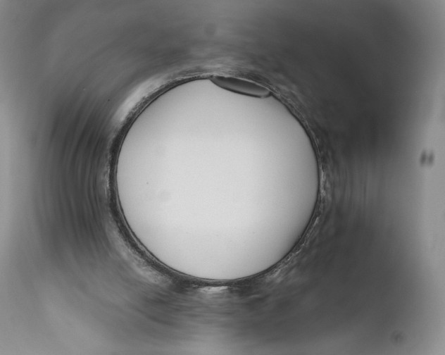 X0000110770054200907061128