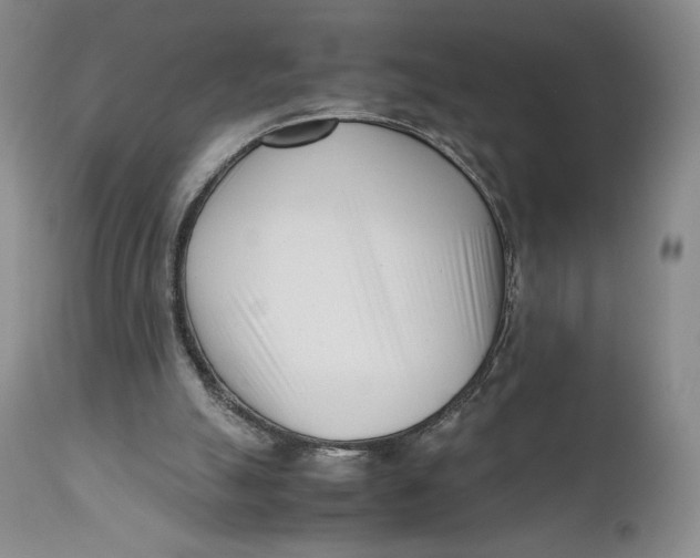 X0000110770055200907061128