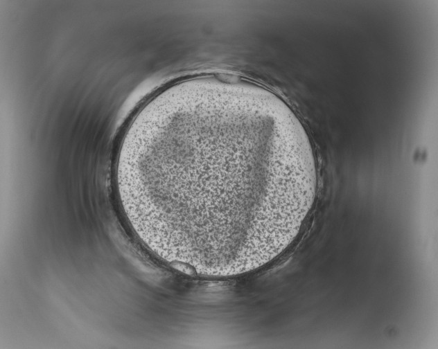 X0000110770056200907061128