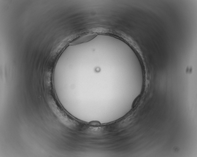 X0000110770057200907061128