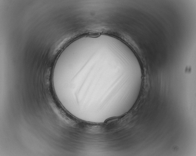 X0000110770058200907061128