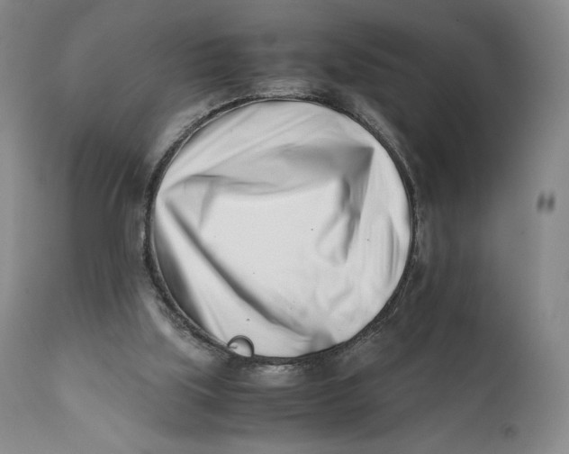 X0000110770059200907061128