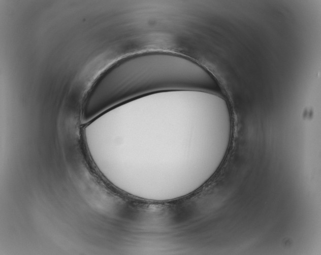 X0000110770060200907061128