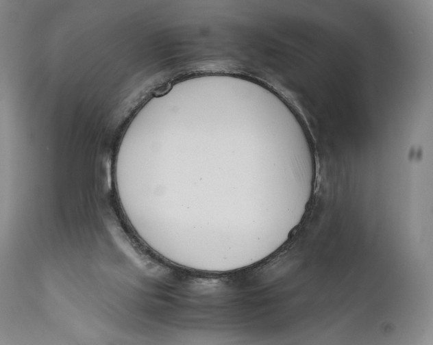 X0000110770061200907061128