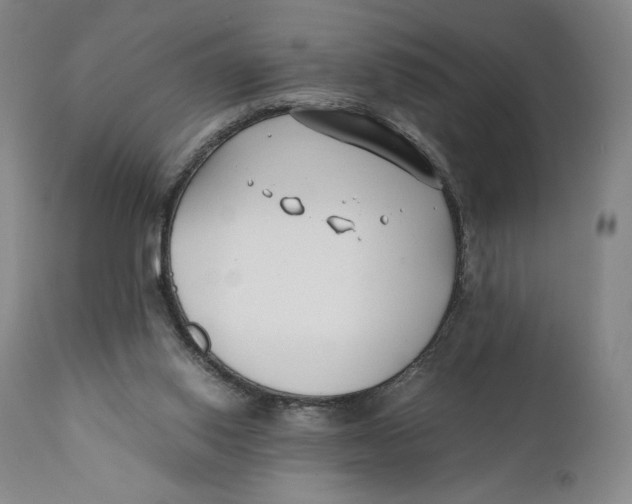 X0000110770062200907061128