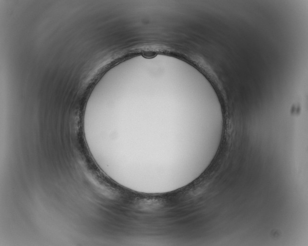 X0000110770063200907061128