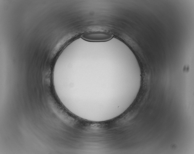 X0000110770064200907061128