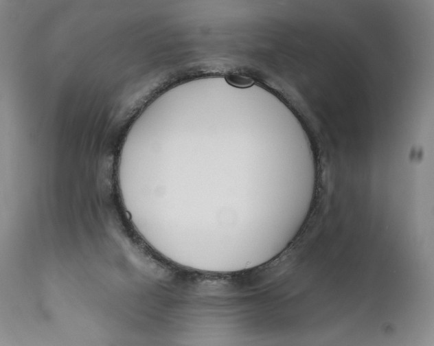 X0000110770066200907061128