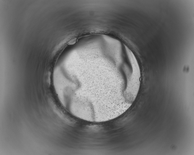 X0000110770067200907061128