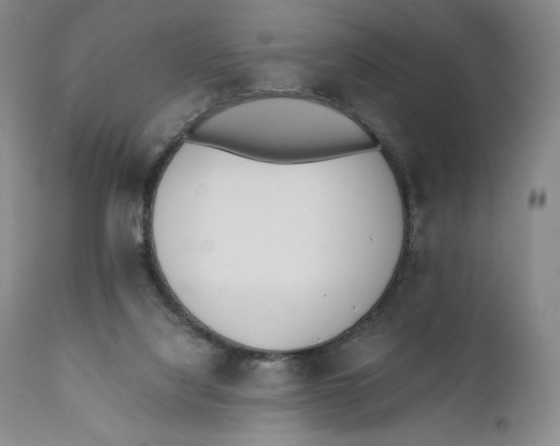 X0000110770068200907061128