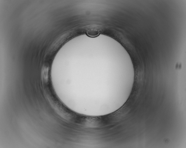 X0000110770070200907061128