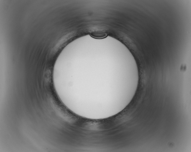 X0000110770071200907061128