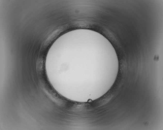 X0000110770072200907061128