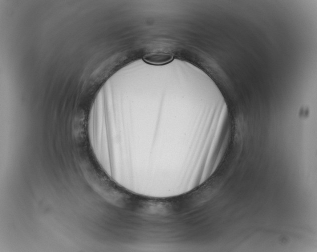 X0000110770073200907061128