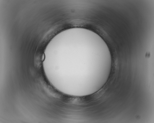 X0000110770074200907061128