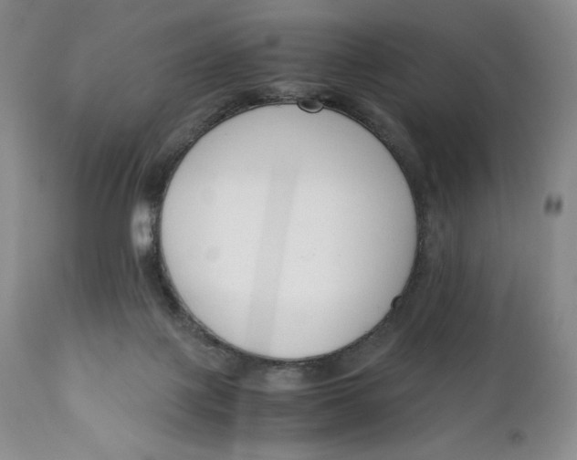 X0000110770075200907061128