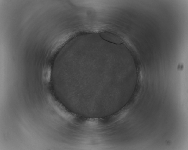 X0000110770076200907061128