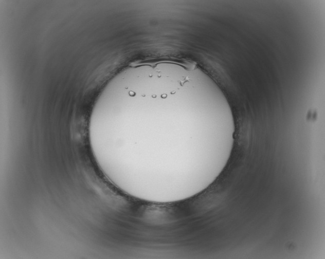 X0000110770077200907061128