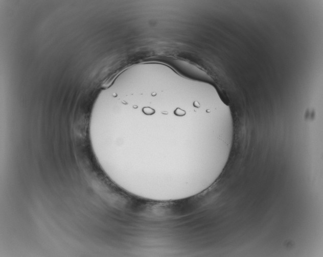 X0000110770078200907061128