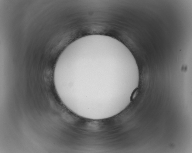 X0000110770079200907061129