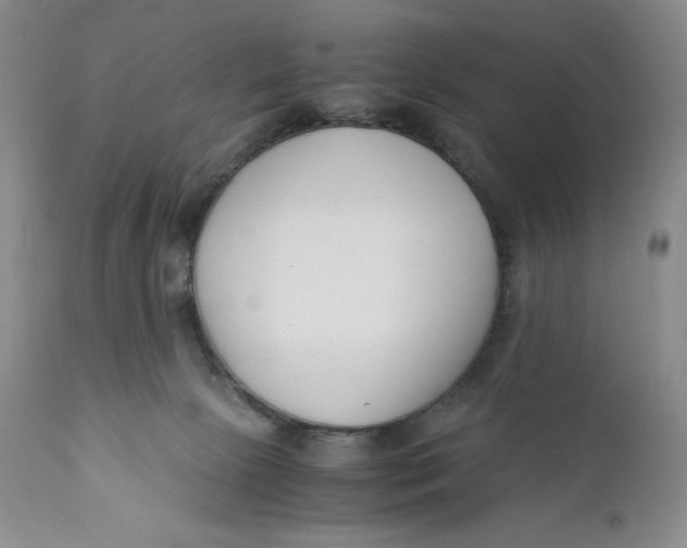 X0000110770081200907061129