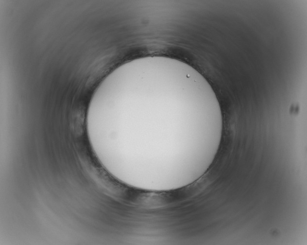 X0000110770082200907061129