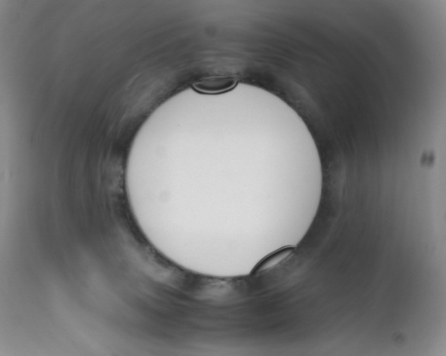 X0000110770083200907061129