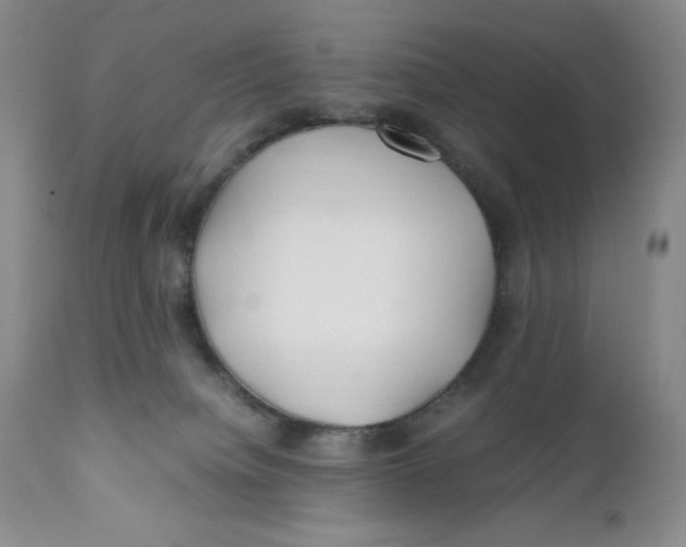 X0000110770084200907061129