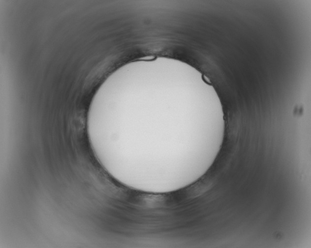 X0000110770085200907061129