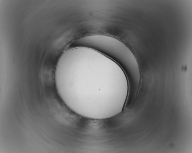 X0000110770088200907061129