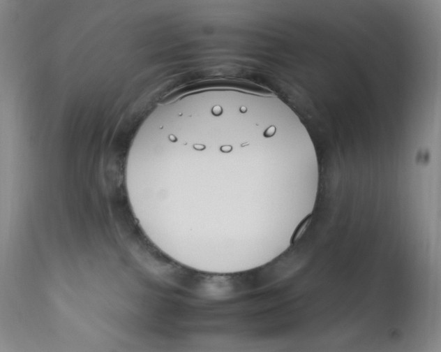 X0000110770091200907061129