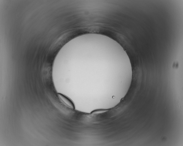 X0000110770092200907061129