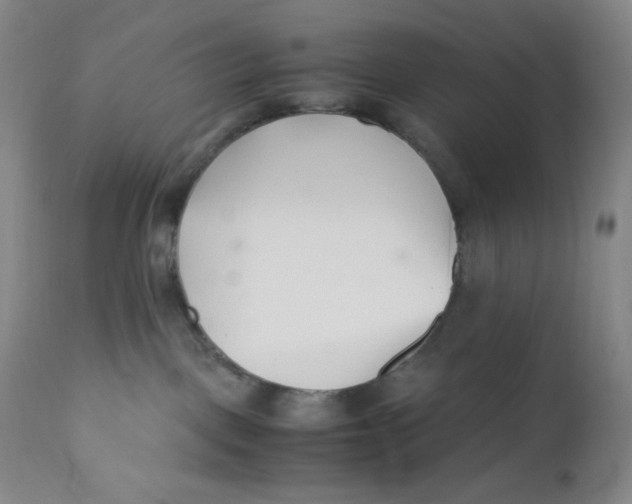 X0000110770093200907061129