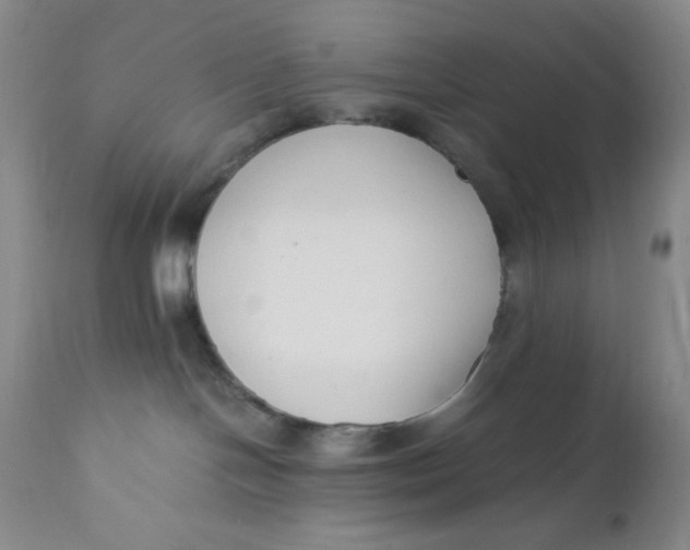 X0000110770094200907061129