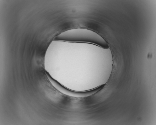 X0000110770096200907061129