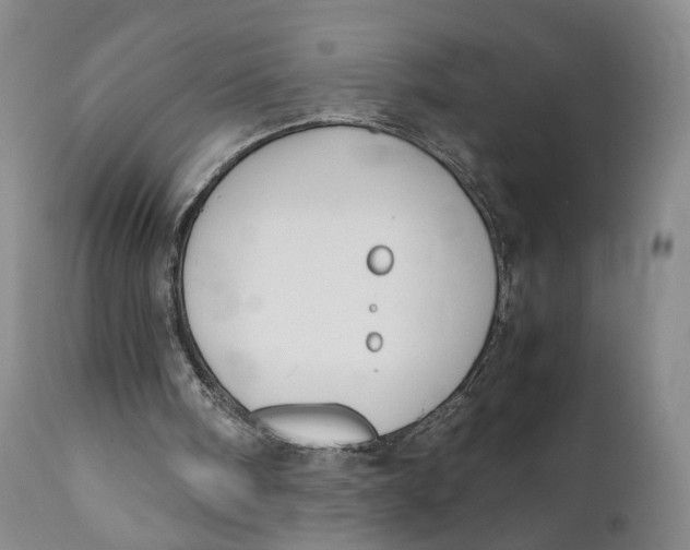 X0000110770098200907061128