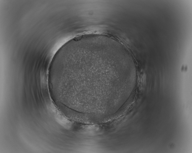 X0000110770100200907061128