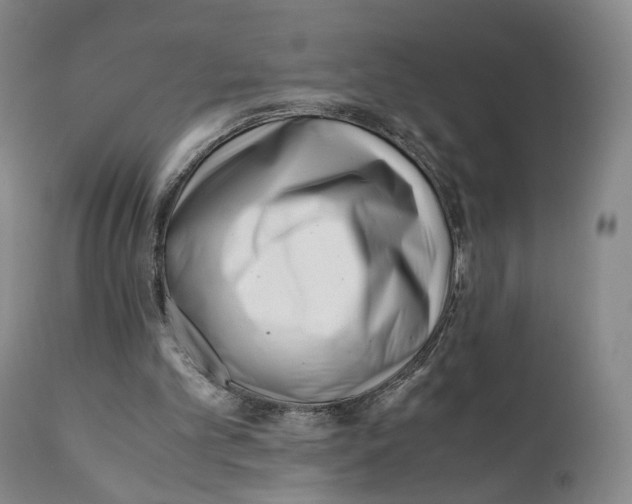 X0000110770101200907061128