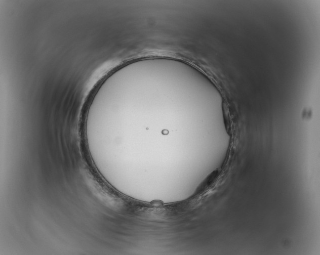 X0000110770104200907061128