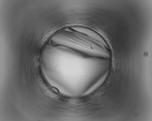 X0000110770105200907061128