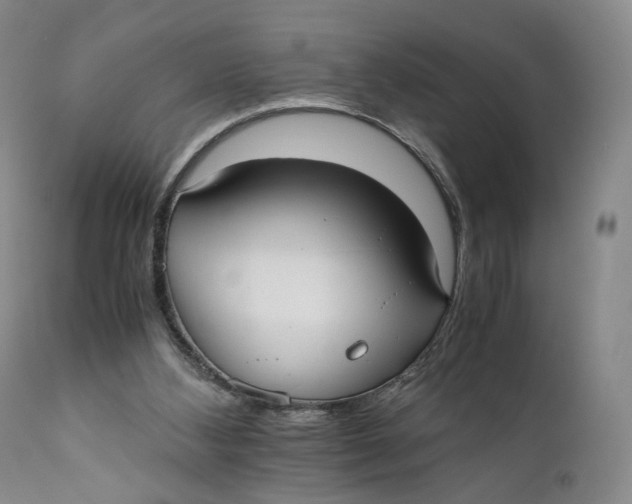 X0000110770108200907061128