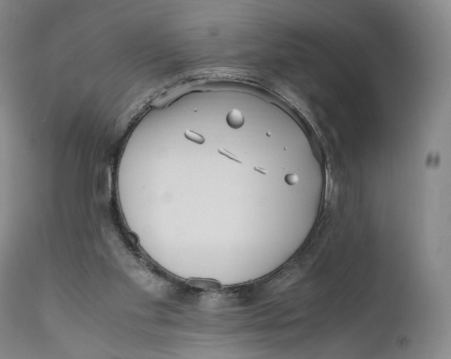 X0000110770109200907061128