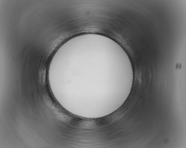 X0000110770110200907061128