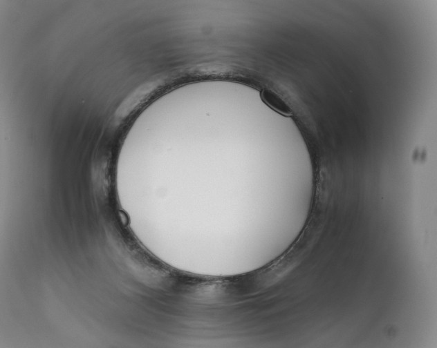 X0000110770116200907061128