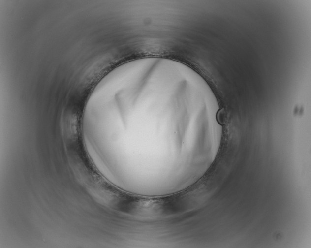 X0000110770117200907061128